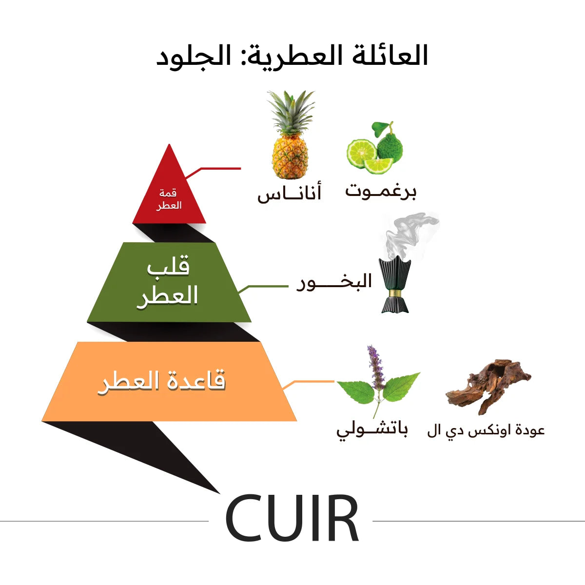 Cuir Perfume 150ml -Almajed Oud